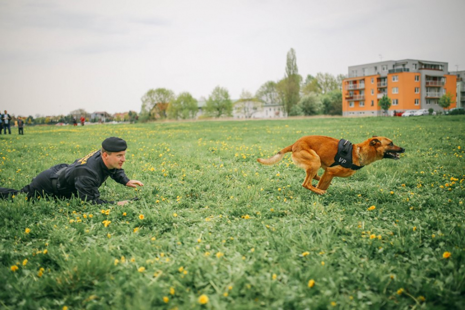 ukazka_vojenske_policie_2.jpg