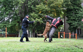 ukazka_zadrzeni_pachatele.jpg