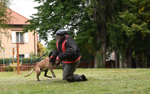 ukazka_zadrzeni_pachatele3.jpg